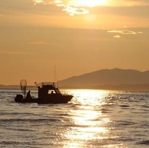 Meet your Posher, Gary b